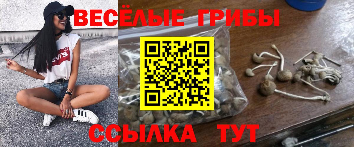 наркотики  Вход с VPN  Псилоцибиновые грибы Psilocybine cubensis  Нижневартовск  Псилоцибиновые грибы Magic Shrooms 