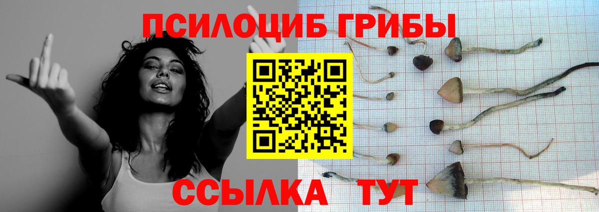 Галлюциногенные грибы Magic Shrooms Нижневартовск